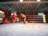 21.-DOTF-224