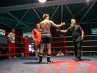 21.-DOTF-288