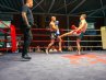 21.-DOTF-294