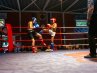 21.-DOTF-336