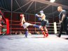 21.-DOTF-343