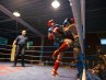21.-DOTF-404