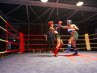 21.-DOTF-446