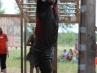 tough-mudder-2014-75